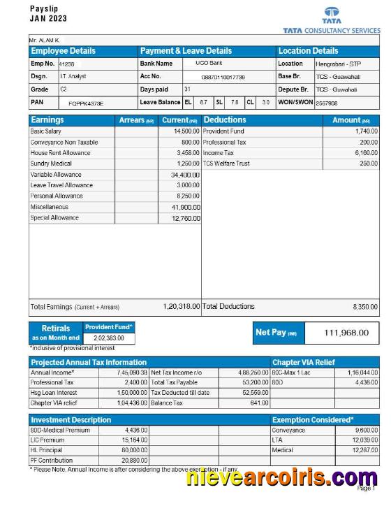 Tata Consultancy Services payslip